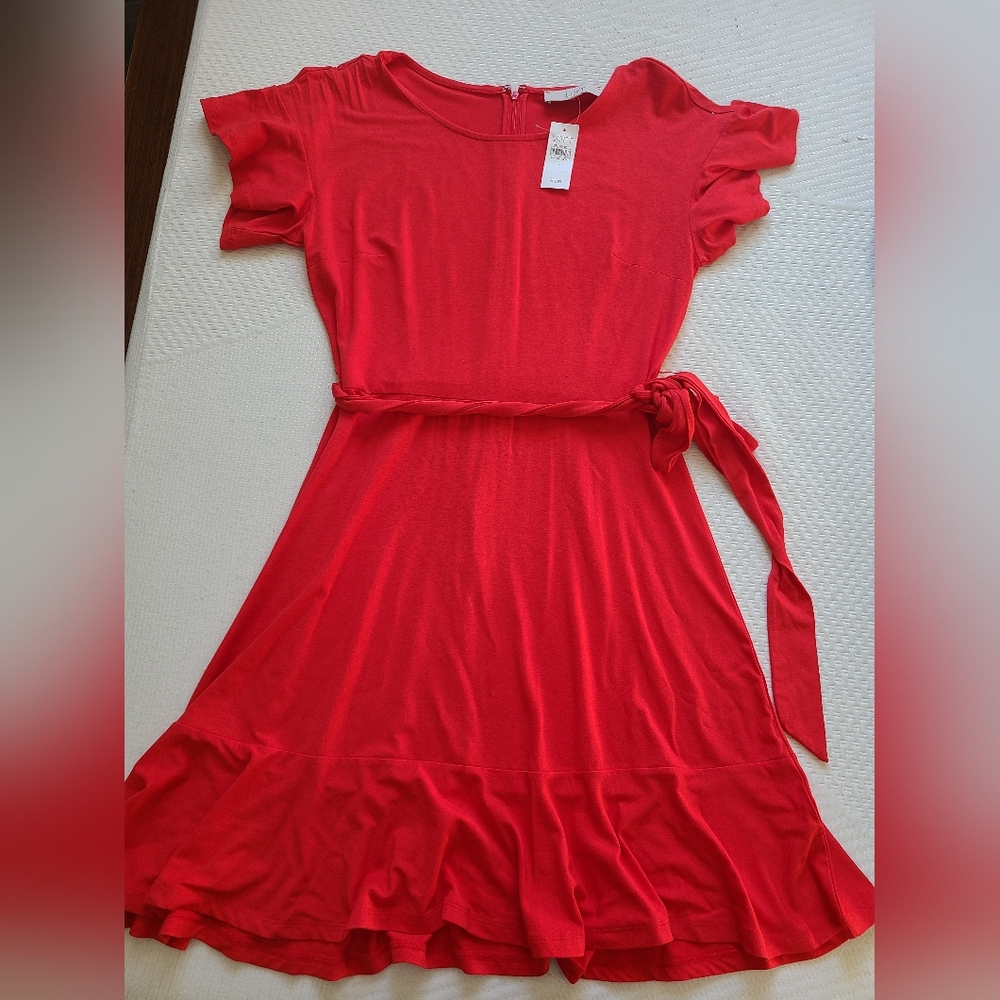Ann LOFT Red Ruffle Sleeve and Ruffle Bottom Dress
